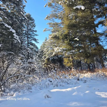 $77,000 | 33 Spurwood Drive, Thayne, WY 83127