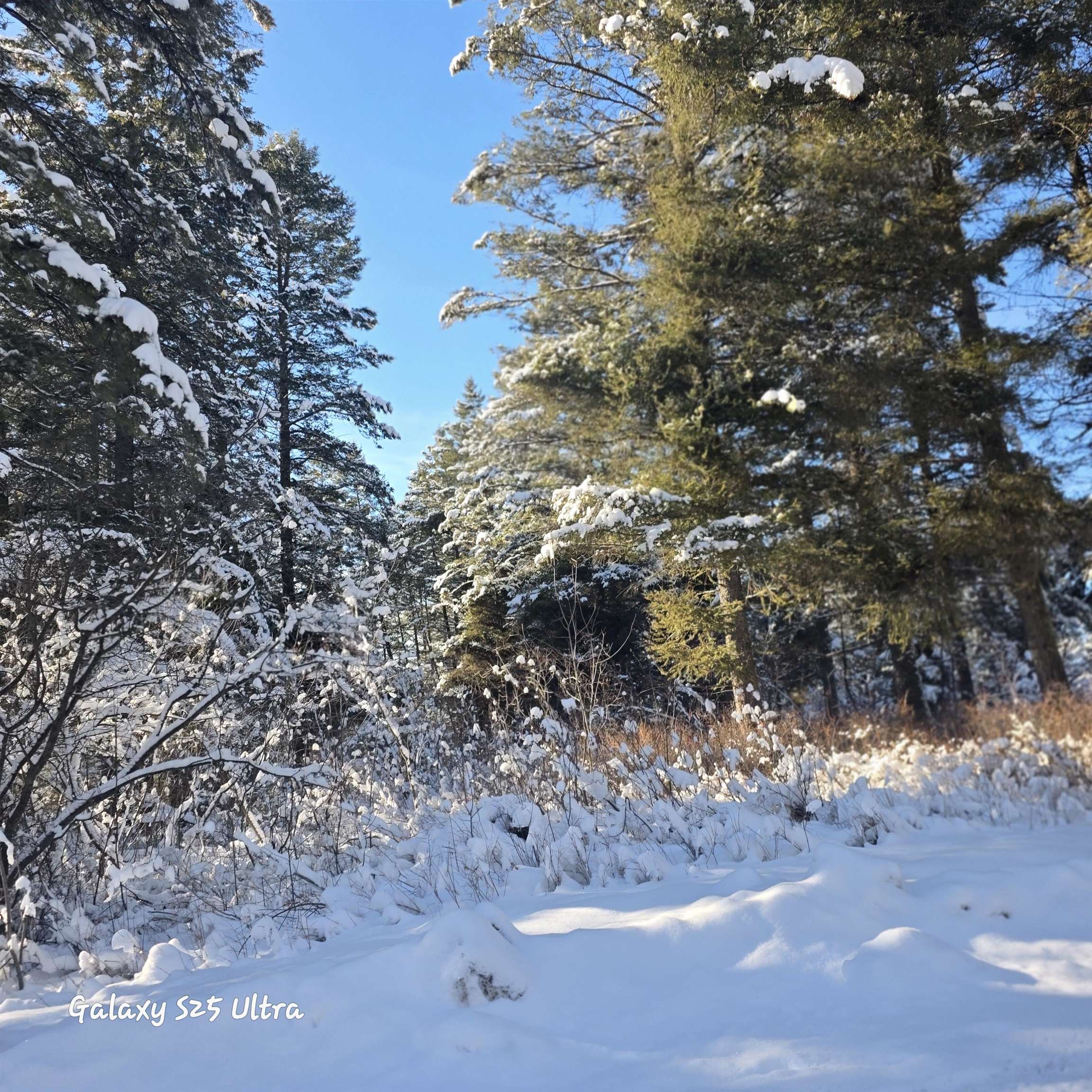 33 Spurwood Drive Star Valley Ranch, WY 83127 - Photo 2 of 5