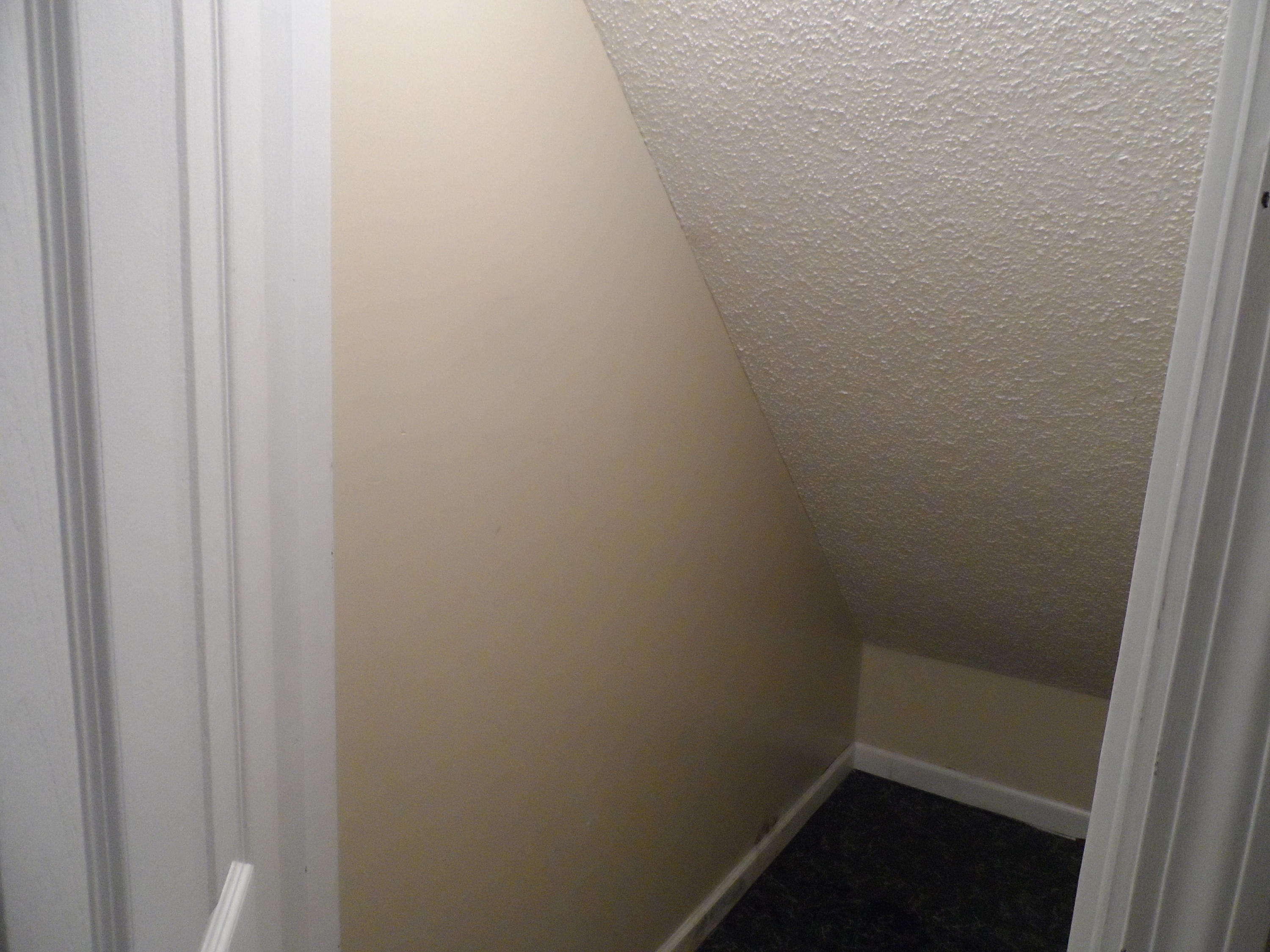 8821 Hidden Branches Road Harrison, TN 37341 - Photo 19 of 24 Under the stair storage