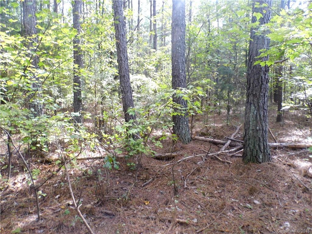 0 Deanna Road Albemarle, NC 28001 - Photo 2 of 7 Gallery Image 2