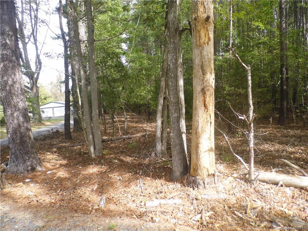 0 Deanna Road Albemarle, NC 28001 - Photo 3 of 7 Gallery Image 3