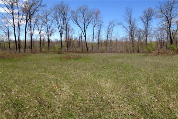 Meredith Grade Road Harrison, MI 48625 - Photo 16 of 19 6 Food Plot-WR