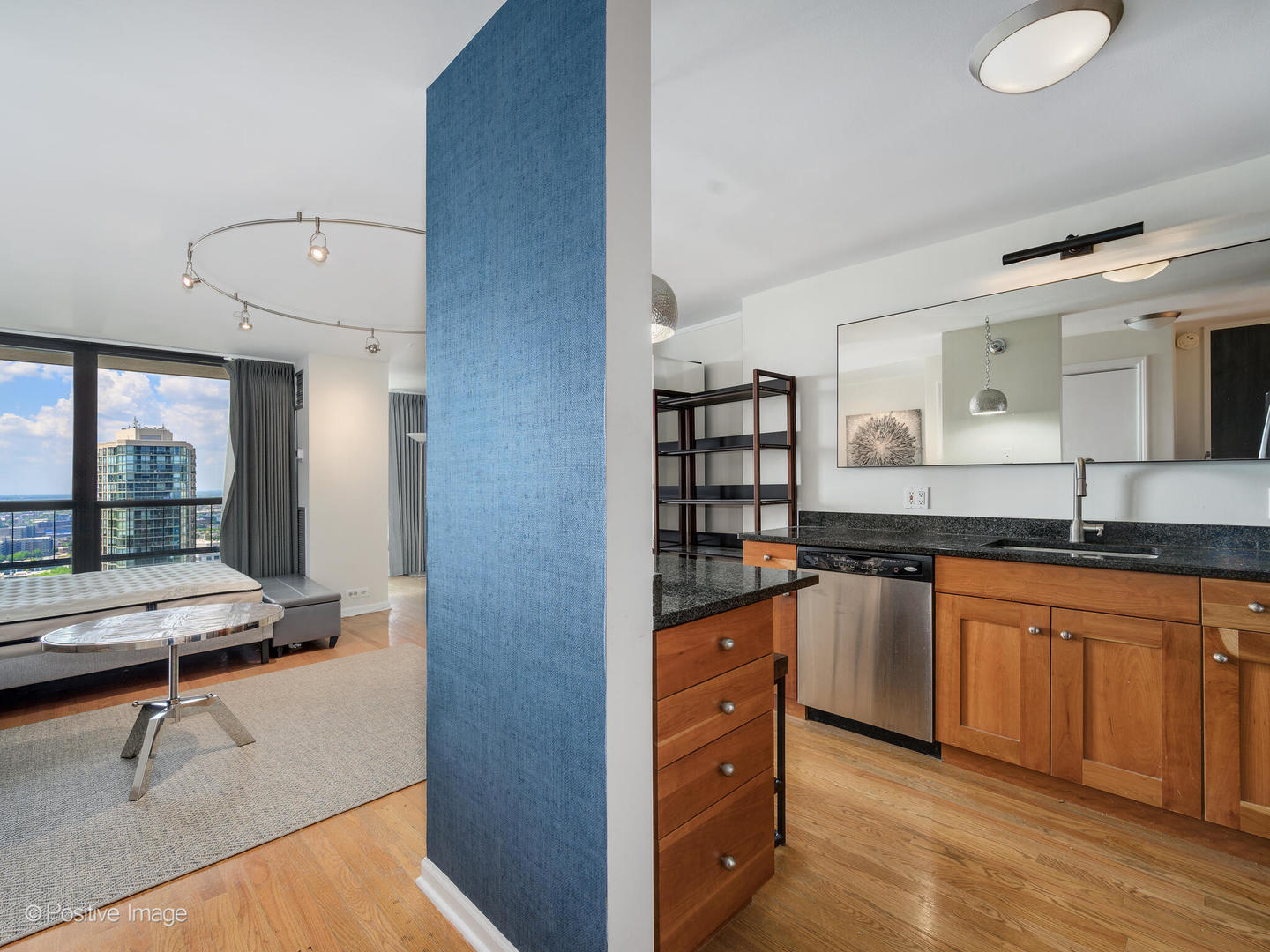 1030 North State Street, Unit 28M Chicago, IL 60610 - Photo 11 of 19