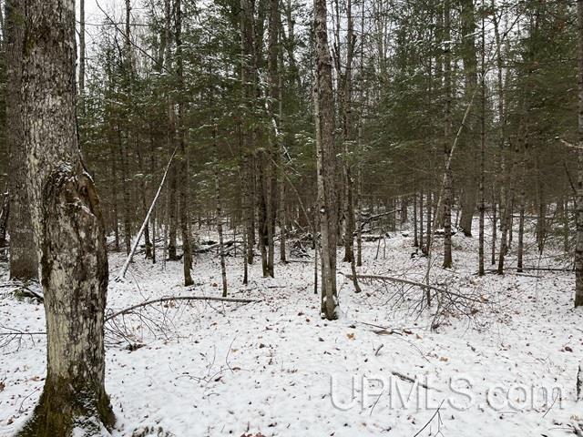 545 South Rd Skandia Mi 49885 Road Skandia, MI 49885 - Photo 28 of 38