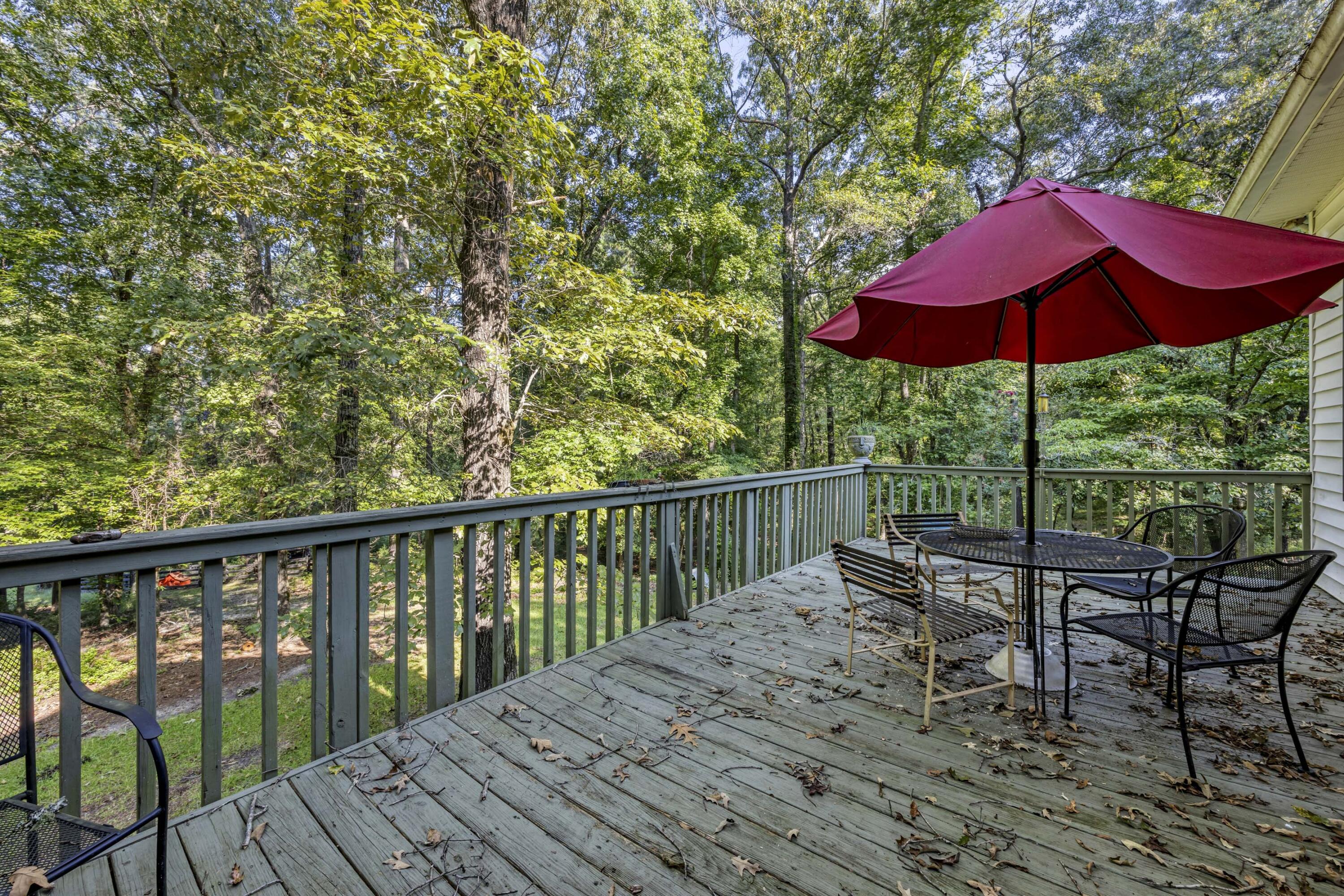481 Mt Pleasant Road Monetta, SC 29105 - Photo 47 of 47