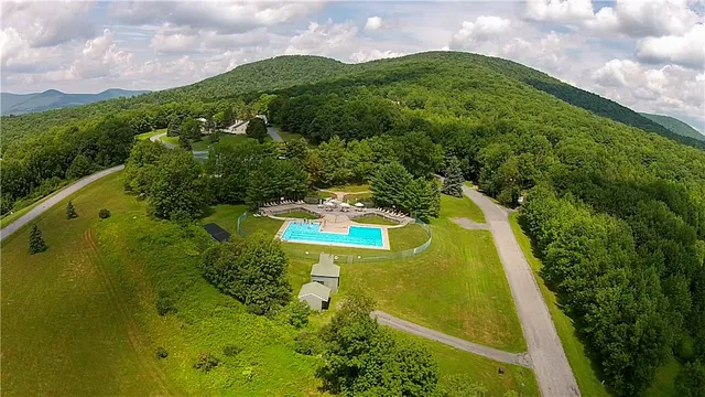 $250,000 | 300 Pines Drive, Unit 446, Roxbury, NY 12421