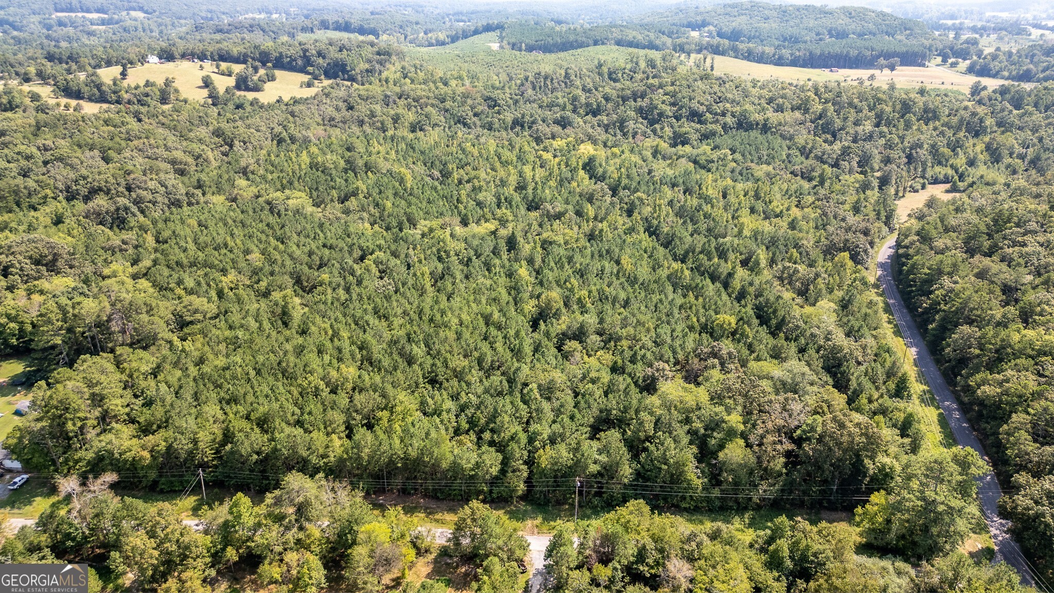 0 Townsend Road Rocky Face, GA 30728 - Photo 2 of 4 a view of a bunch of plants and trees