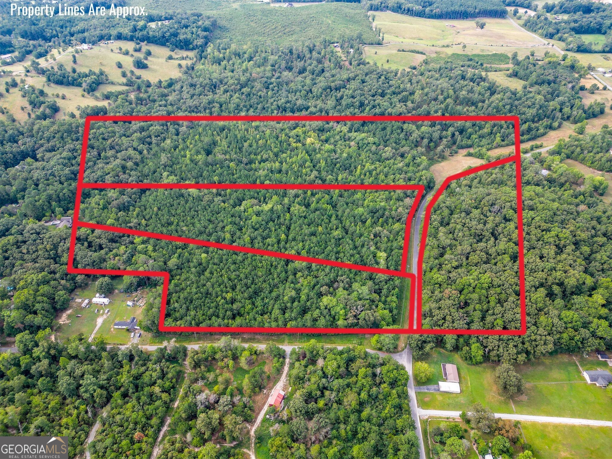 0 Townsend Road Rocky Face, GA 30728 - Photo 4 of 4 a view of a garden with flowers