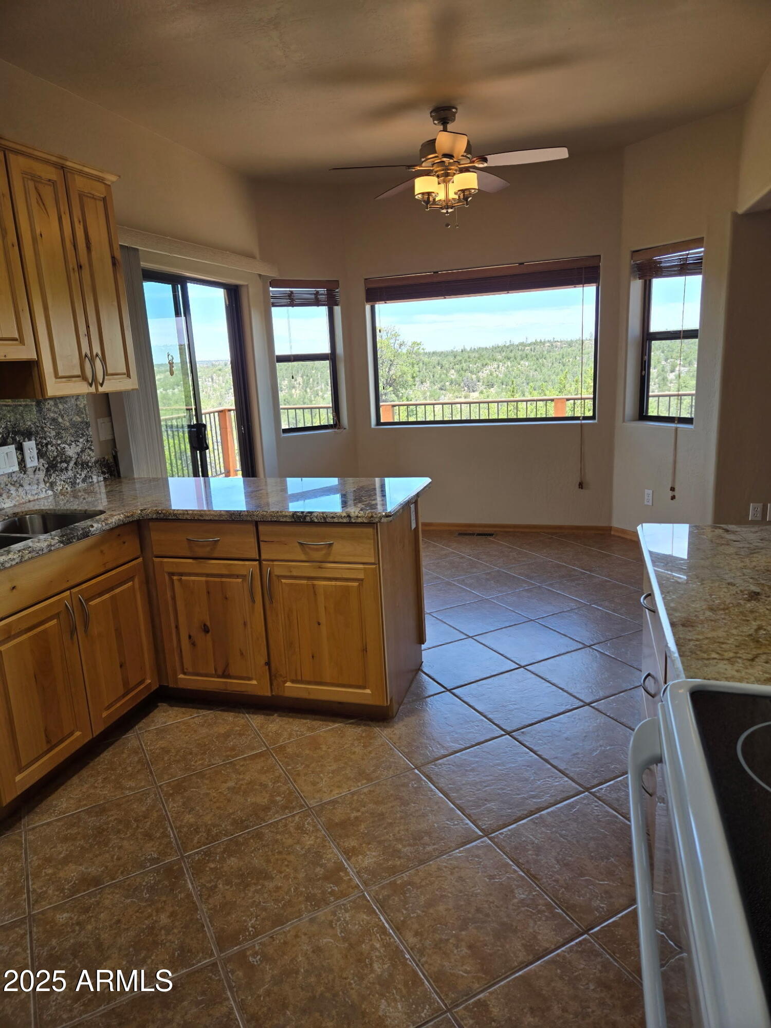 3645 Zane Grey Trail Overgaard, AZ 85933 - Photo 7 of 31 7922885987680421871