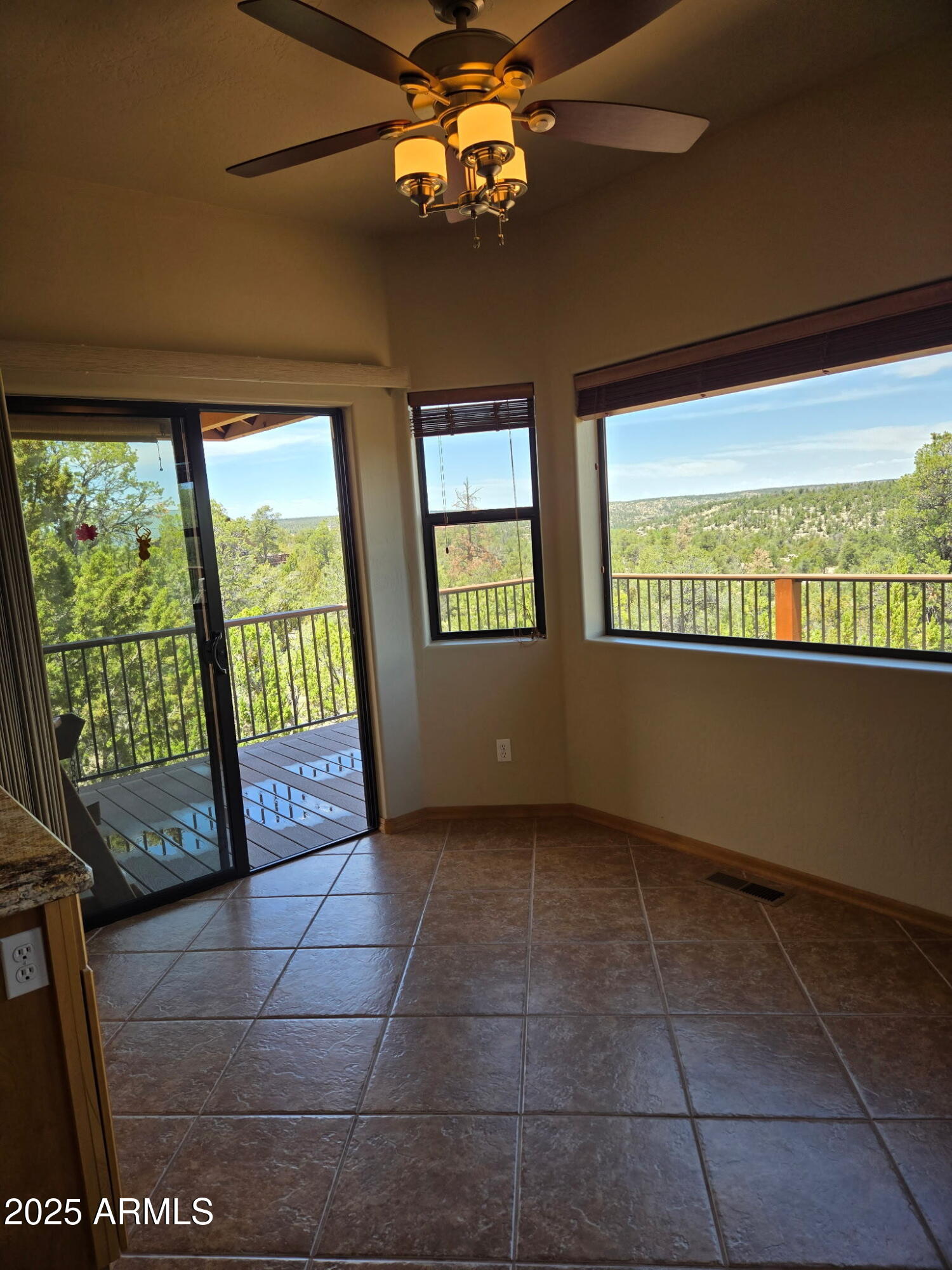 3645 Zane Grey Trail Overgaard, AZ 85933 - Photo 8 of 31 1152955795914370397