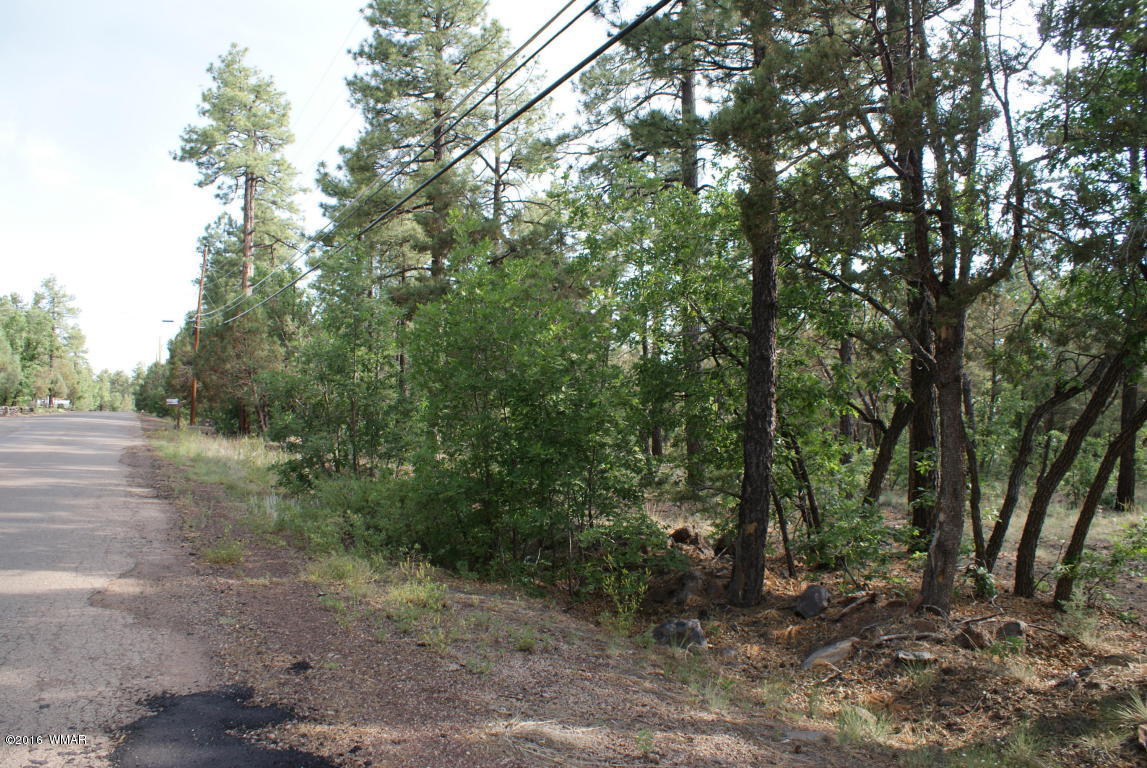 Tbd North Blue Grass Ranch Drive Lakeside, AZ 85929 - Photo 4 of 5 a view of a forest with trees in the background