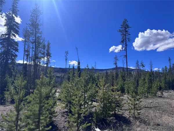 $65,000 | Tbd Thoroughbred Trail, Oak Creek, CO 80467