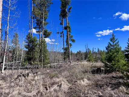 a view of a flower in a yard