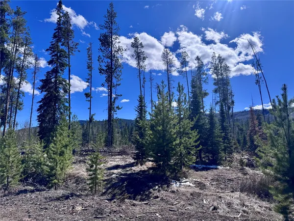$65,000 | Tbd Thoroughbred Trail, Oak Creek, CO 80467