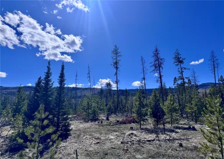 a view of a yard in a yard