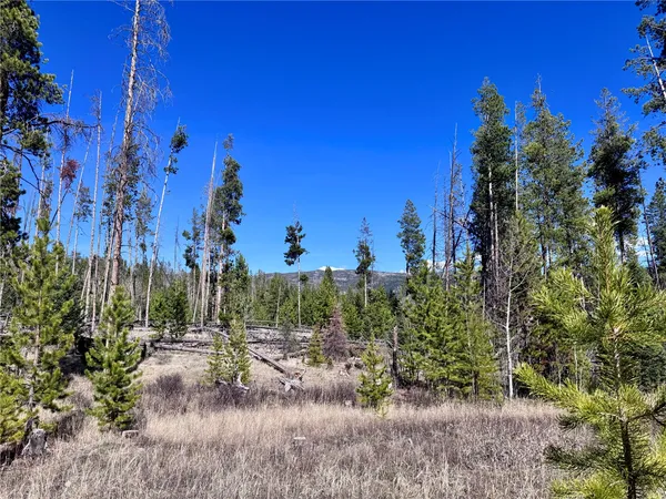 $65,000 | Tbd Thoroughbred Trail, Oak Creek, CO 80467