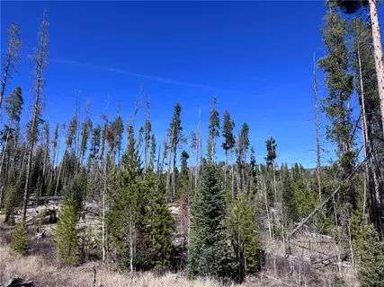 a view of a pathway with a building in the background
