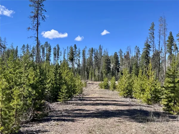 $65,000 | Tbd Thoroughbred Trail, Oak Creek, CO 80467