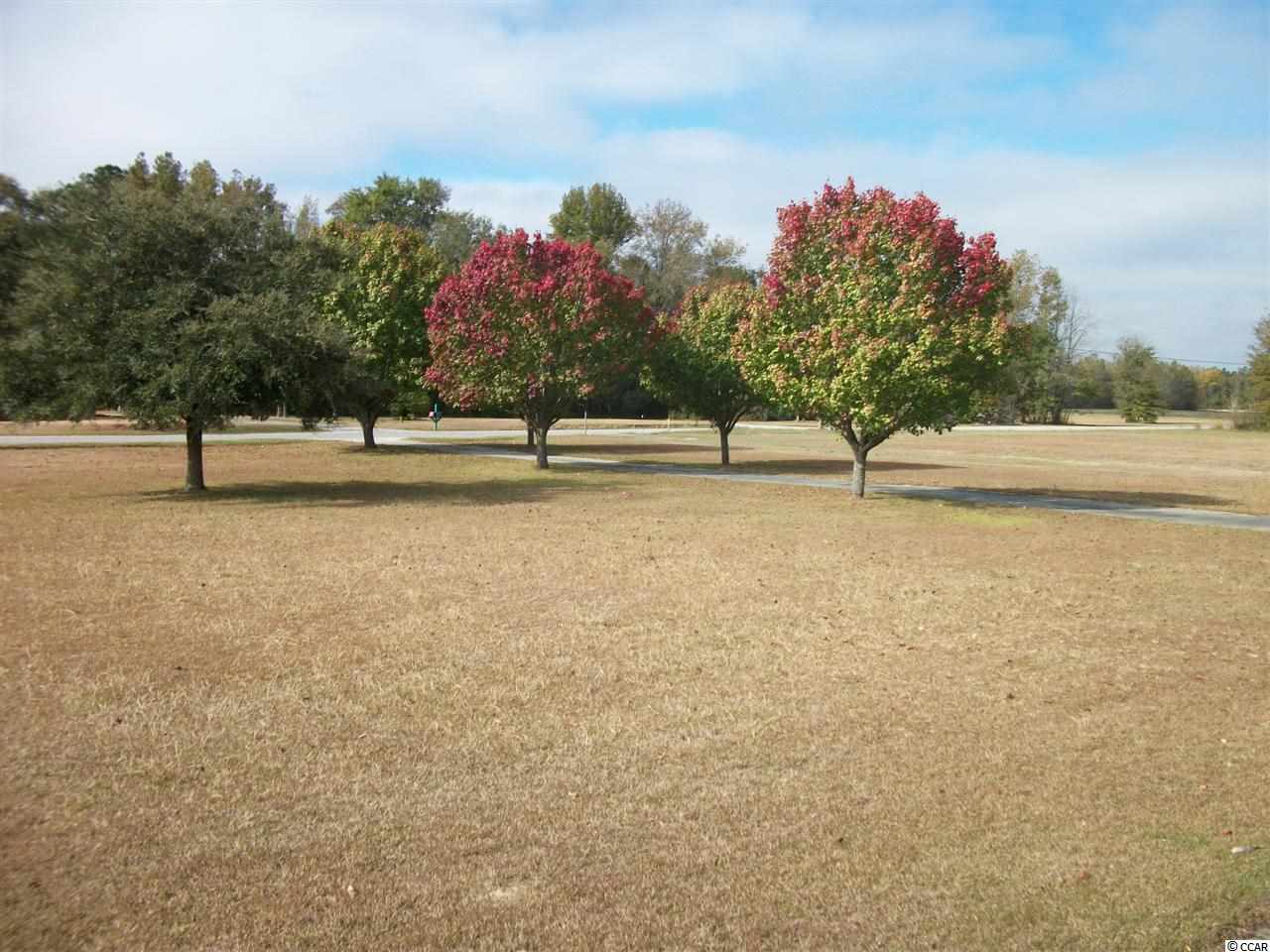 2512 Gilchrist Road Mullins, SC 29574 - Photo 2 of 13 Gallery Image 2