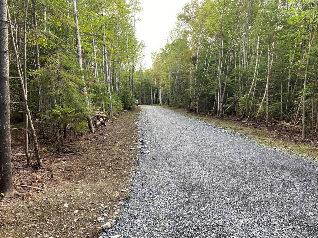 Lot 4 East Road Greenville, ME 04441 - Photo 2 of 19 IMG_3081