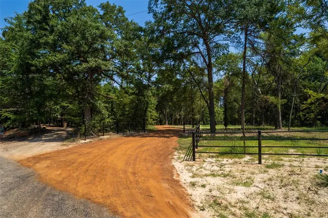 a view of a yard with large trees