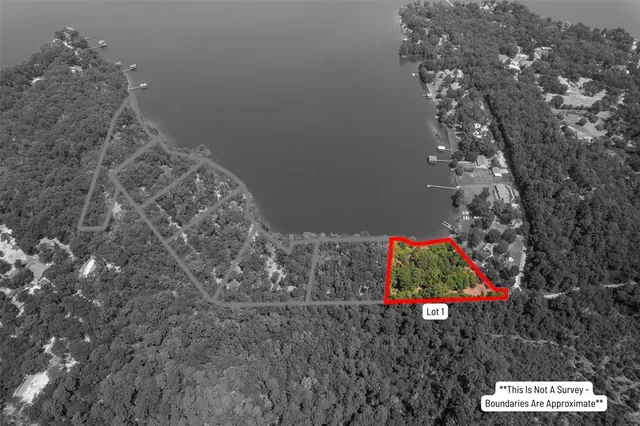 a bird view of a house