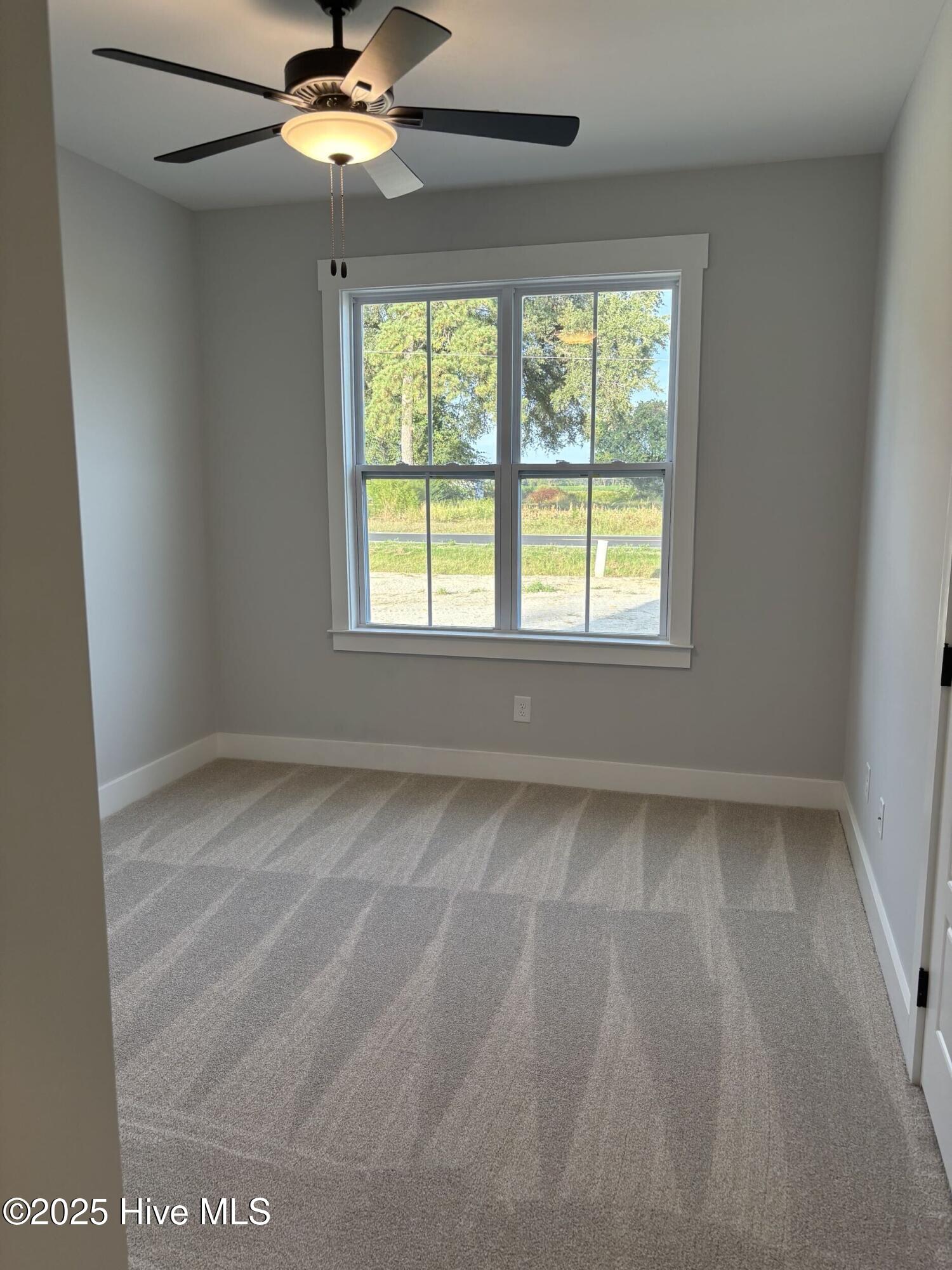 447 Newell Road Snow Hill, NC 28580 - Photo 4 of 17 GB1