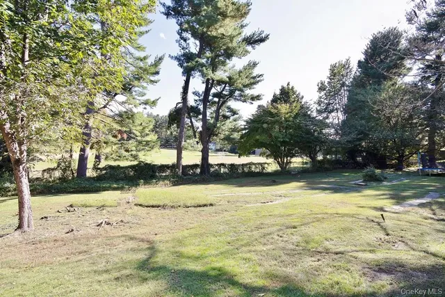 a view of yard with trees