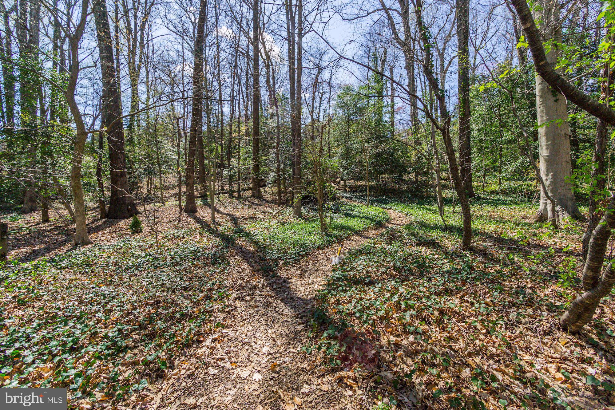406 Hampshire Court Riva, MD 21140 - Photo 40 of 43 Beautiful surroundings
