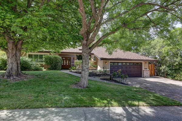 a view of a house with a yard and a large tree
