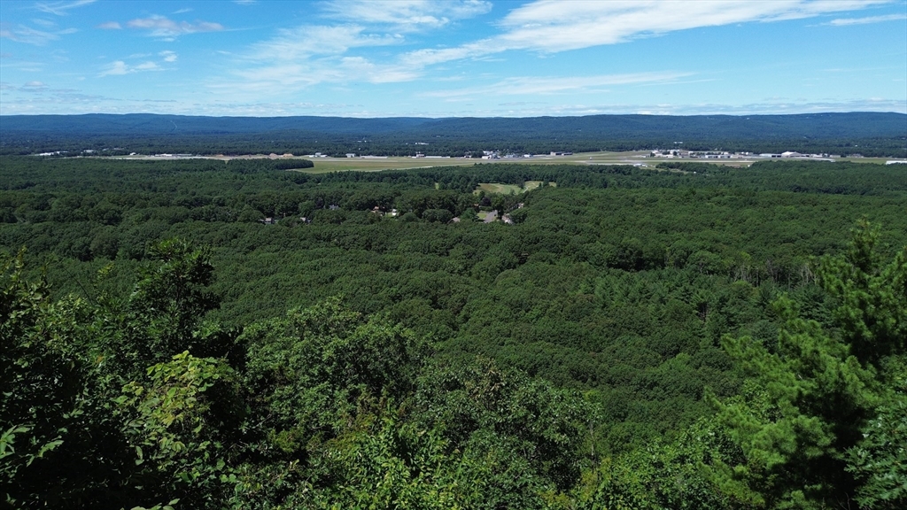 a view of a city with lush green forest