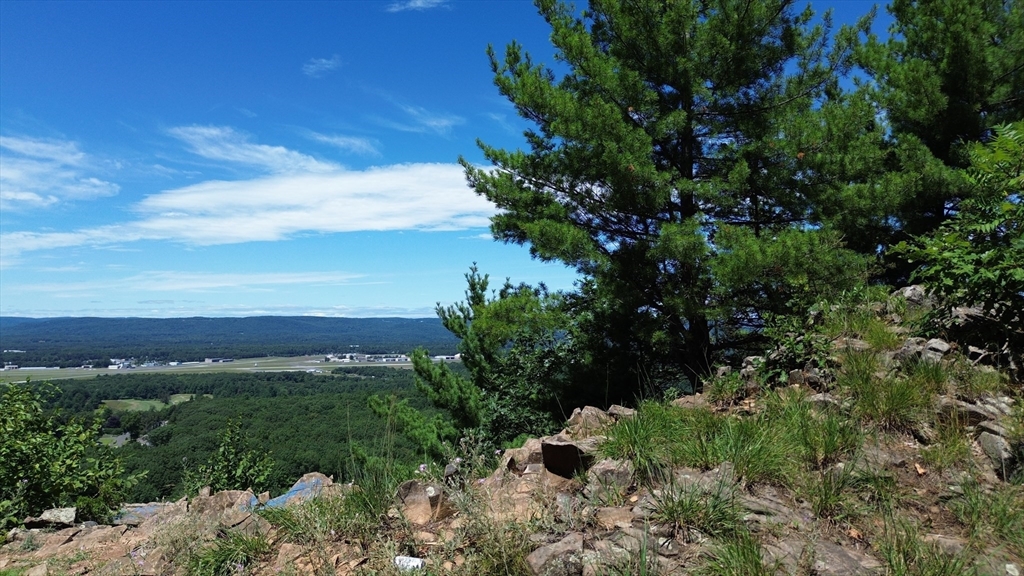 0 East Mountain Road Westfield, MA 01085 - Photo 2 of 8 a view of a garden with plants