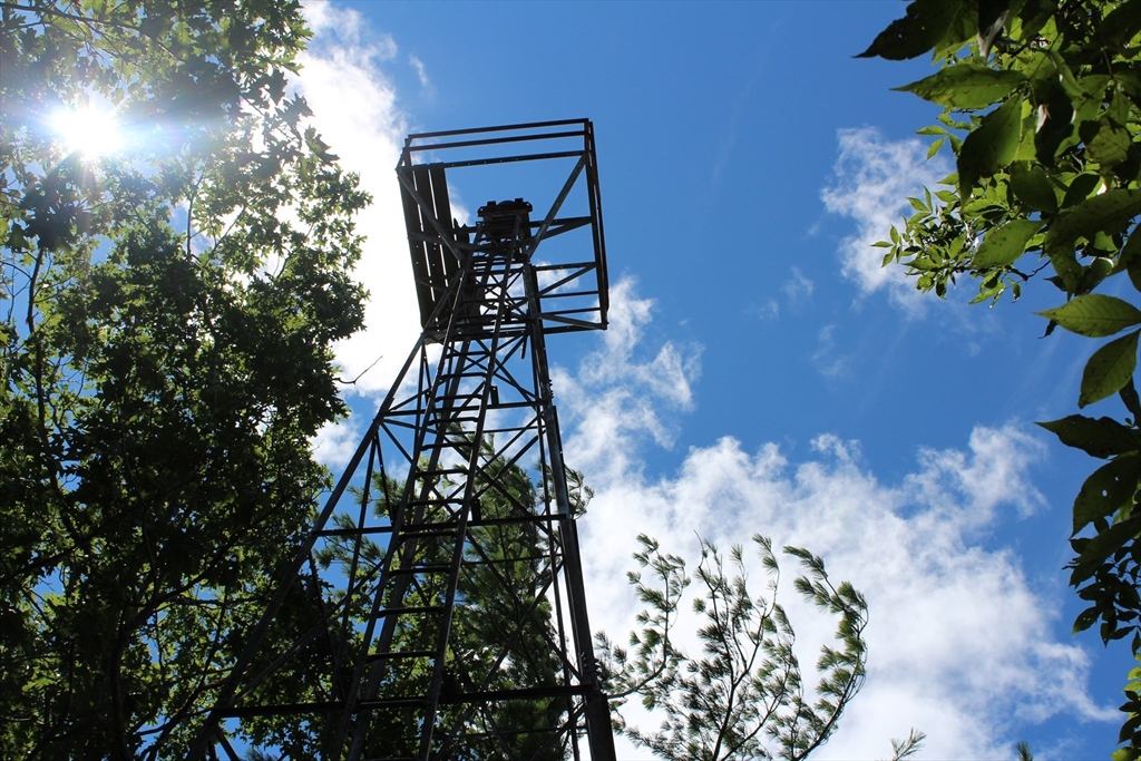 0 East Mountain Road Westfield, MA 01085 - Photo 3 of 8 a backyard of a house with lots of green space