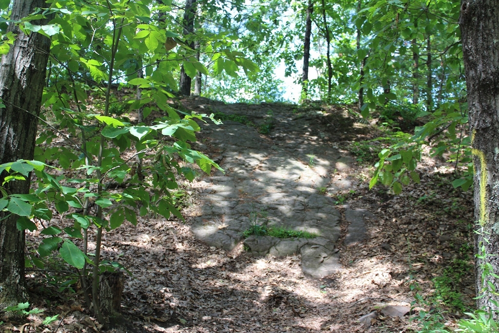 0 East Mountain Road Westfield, MA 01085 - Photo 5 of 8 a backyard of a house