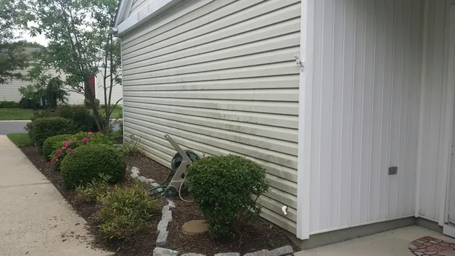 a view of a house with a plant