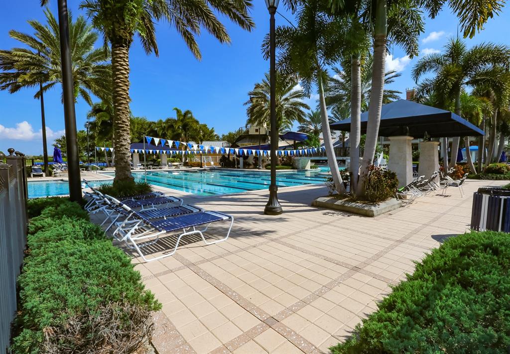 954 Signet Drive Apollo Beach, FL 33572 - Photo 55 of 60