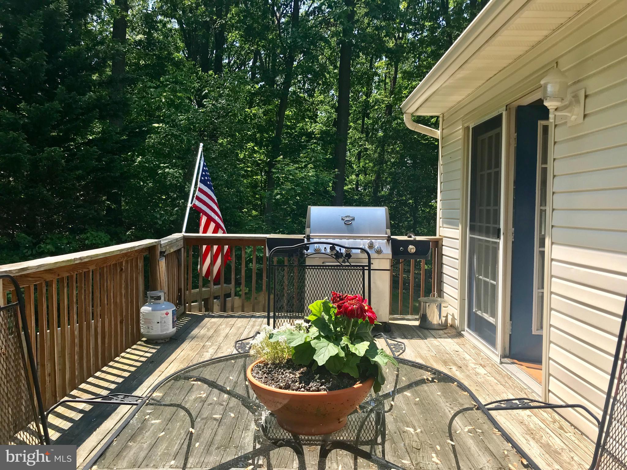 4253 Rinehart Road Westminster, MD 21158 - Photo 24 of 31 Every day is a great day for a BBQ!