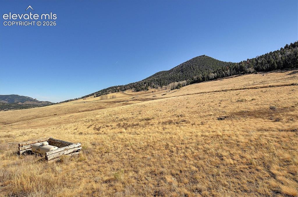 1115 Eagles Gate Road Westcliffe, CO 81252 - Photo 42 of 50