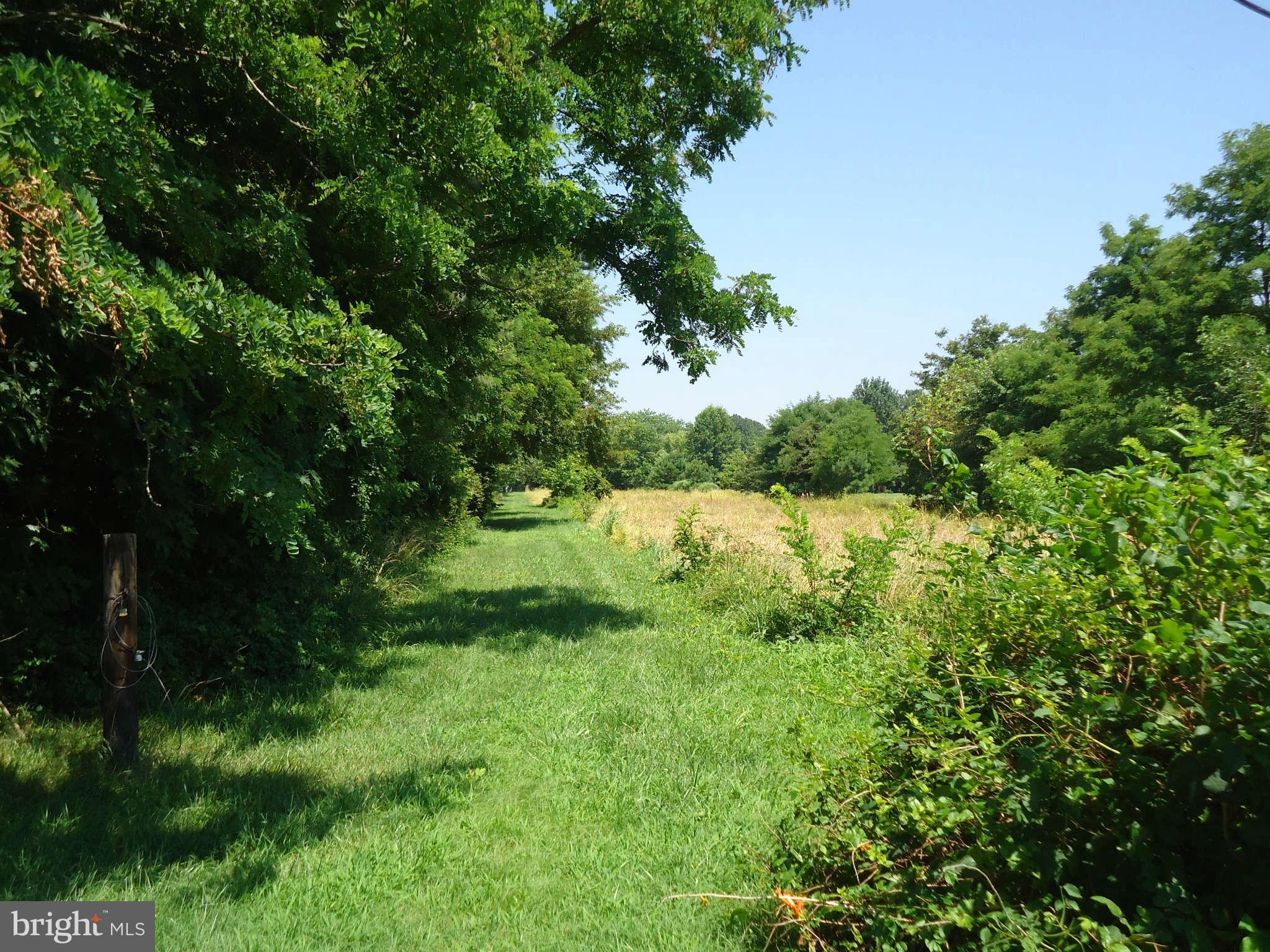 8613 Sewell Point Road Wittman, MD 21676 - Photo 14 of 18 View coming into the grass driveway