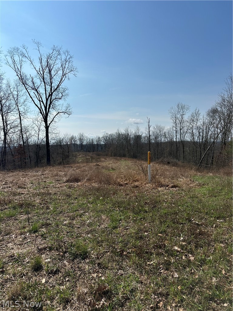 44800 Jim Stimpert Road Lewisville, OH 43754 - Photo 30 of 49 Natural Gas line easement