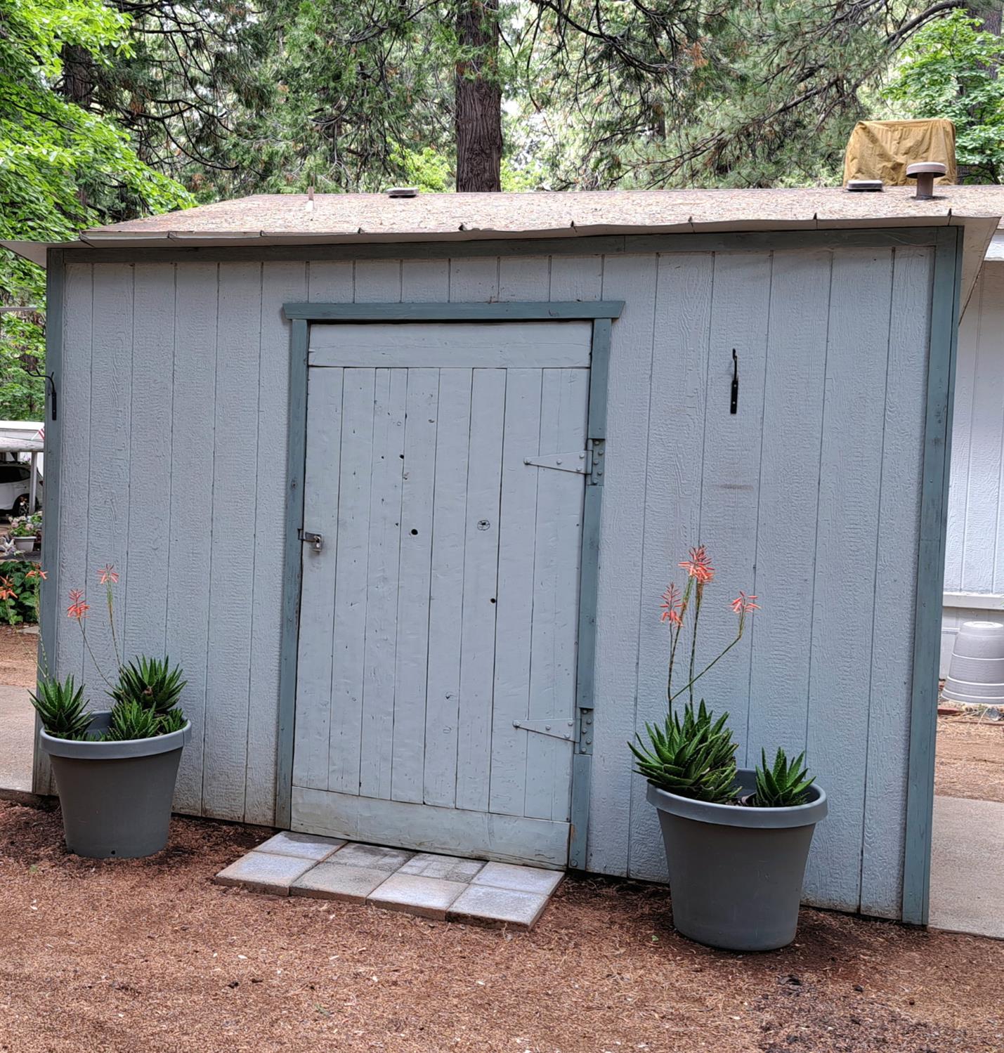 5766 Pony Express Trail, Unit 4 Pollock Pines, CA 95726 - Photo 6 of 17 a view of a small space with plants