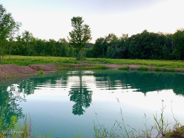 233 Schuman Road Damascus, PA 18415 - Photo 30 of 56 Pond View