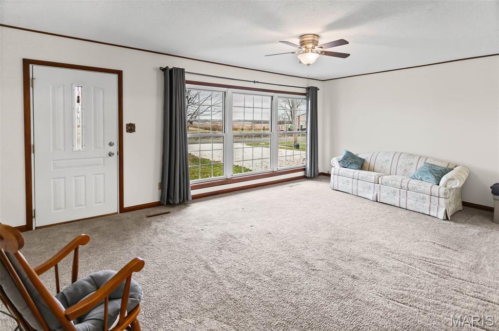 23370 West County Road Jerseyville, IL 62052 - Photo 8 of 40 Gallery Image 8