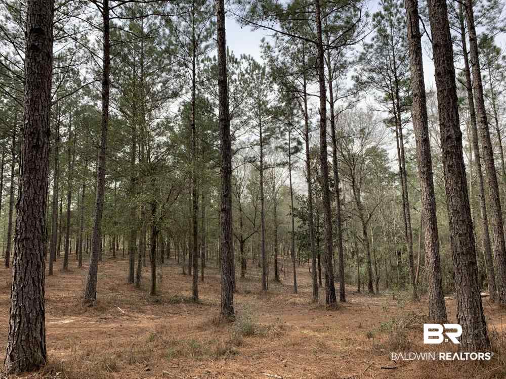 17525 Joe Gottler Road Elberta, AL 36530 - Photo 24 of 44
