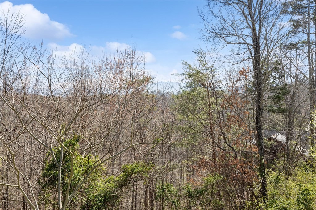 1044 Shadow Ridge Drive Sevierville, TN 37862 - Photo 10 of 67 Gallery Image 10