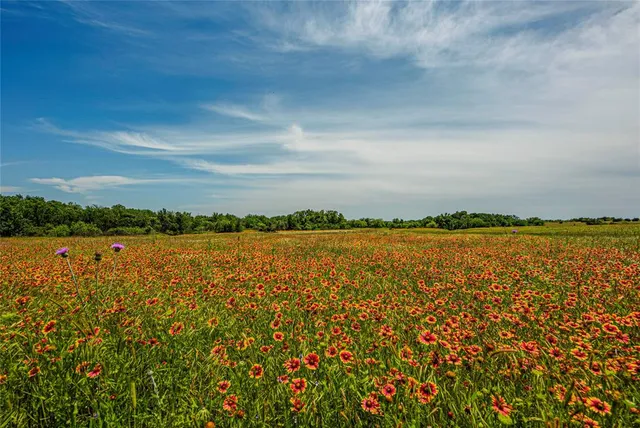 $9,204,600 | 4301 Monroe Highway, Cresson, TX 76035