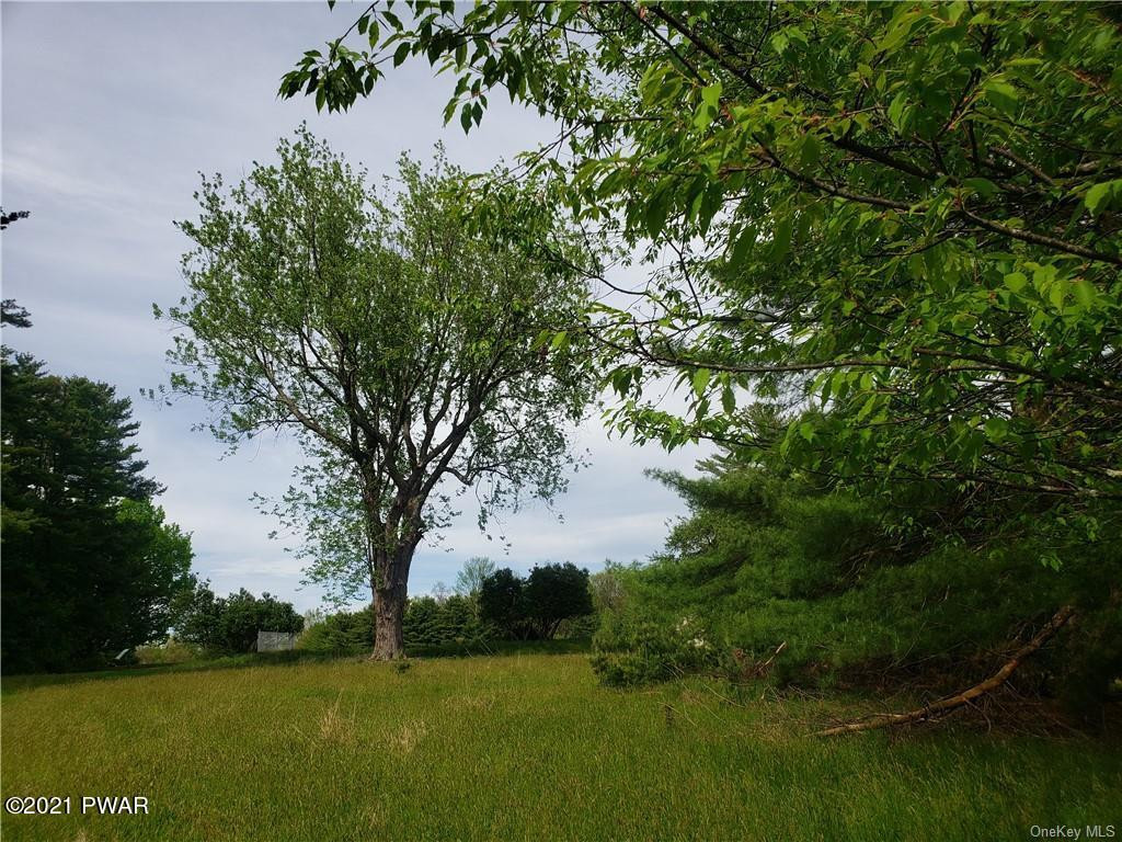 Mud Pond Road Highland Lake, NY 12743 - Photo 12 of 13