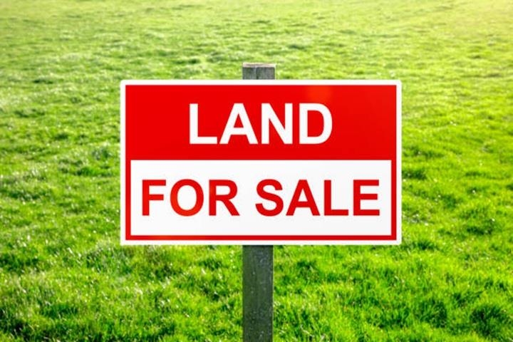 Tbd 24 Road, Unit LOT 3 Grand Junction, CO 81505 - Photo 1 of 2 Gallery Image 1