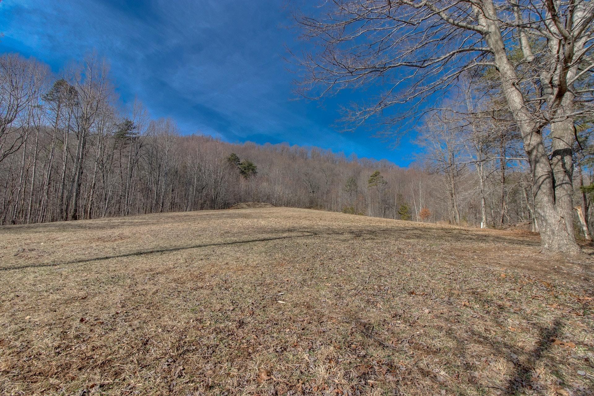 1381 Nemmo Road Vinton, VA 24179 - Photo 35 of 39 a view of large yard with trees
