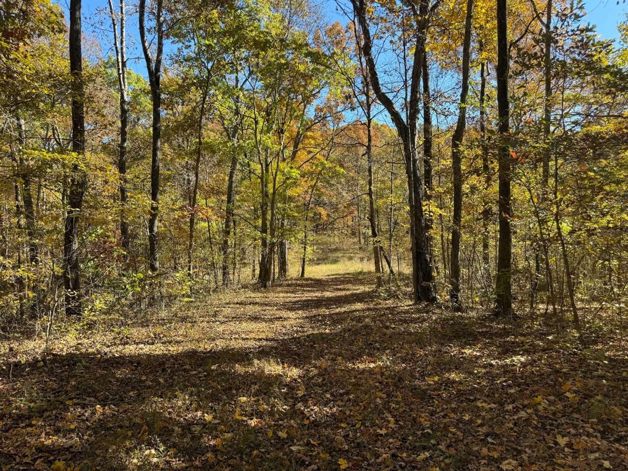 0 Blue Level Road Rockfield, KY 42274 - Photo 19 of 24 Gallery Image 19